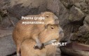 Domyślasz się, o jaką chodzi?