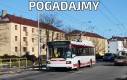 pogadajmy bo niszczymy farmy orzeszków od których gustaw muszla nie ma zębów