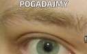 Dżówno