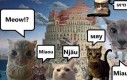 Wieża Koteł