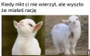 I co? I co?!