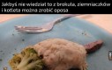 Nie baw się jedzeniem