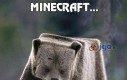 Minecraft...