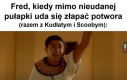 Znowu wygrana