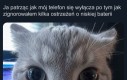 Winić mogę tylko siebie