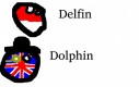 Delfin w różnych językach