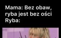 Co za podłe kłamstwo