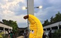 Takiego dobrego banana wyrzucać!