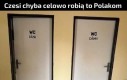 Kurde ciężki wybór
