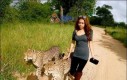 Na spacerze z gepardami