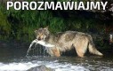 Porozmawiajmy
