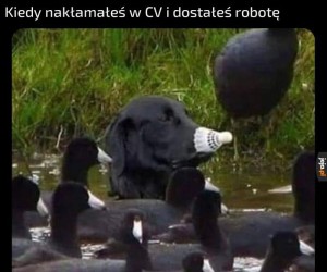 Zero przypału