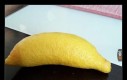 Ta cytryna zawsze chciała być bananem