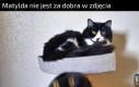 Ale dzisiaj jest piątek