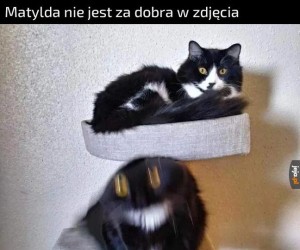 Ale dzisiaj jest piątek