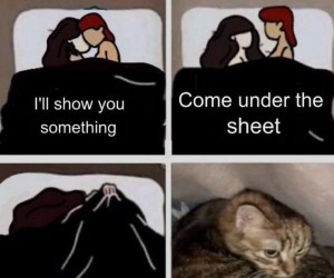 Miau