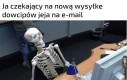 Halo pobudka admin