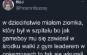 Pyszne ogniwa