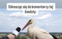 Ważne