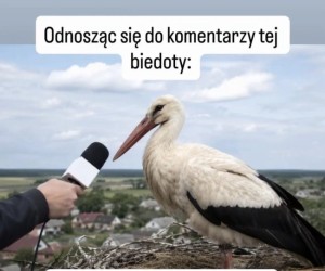 Ważne