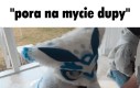 Tak jest stety