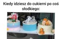 Nie jestem chińczykiem, ale kota przygarnę