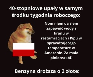 Dwie reakcje