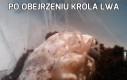 Po obejrzeniu Króla Lwa