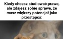 Idź za głosem serca