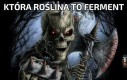 Siać ferment
