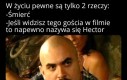 Obowiązkowo