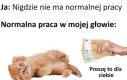 Fajnie by było