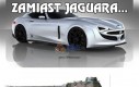 Zamiast Jaguara...