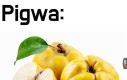 Drobny memik by was rozbawić