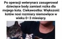 Mój bobasek