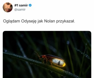 Jak Nolan przykazał