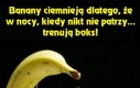 Bananowa ciekawostka
