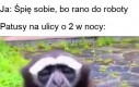 Muszą tak hałasować?