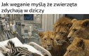 We śnie, otoczone rodziną i przyjaciółmi