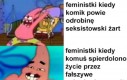 Logika feministek