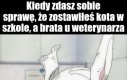 Przypał
