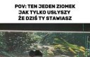 Pojawia się