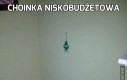 Choinka niskobudżetowa