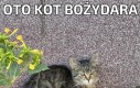 Czy cokolwiek się tu teraz dzieje?