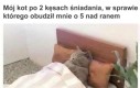 Zzzzz spanko