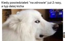 Możesz przestać?