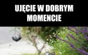 Dobry moment