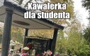 Podejrzanie tanio