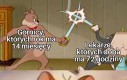 Rozdawać dalej, budżet wytrzyma