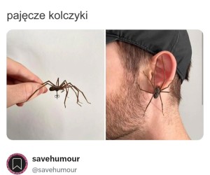 No niektórzy podobną lubią